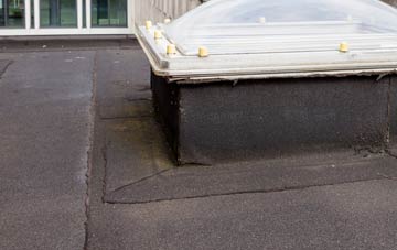disadvantages of Hasthorpe flat roofs