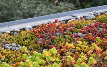 the cost of Hasthorpe green roof installation