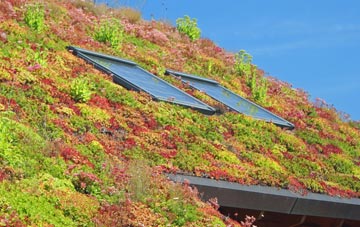 Hasthorpe living roof systems