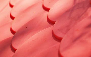 Hasthorpe plastic roof costs