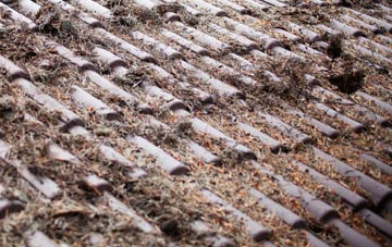 Hasthorpe roof cleaning companies