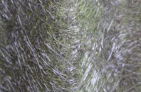 Hasthorpe fibreglass roof work